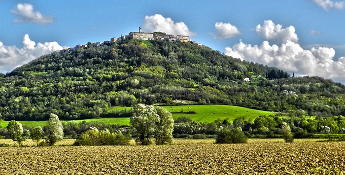 ponudadana, motovun