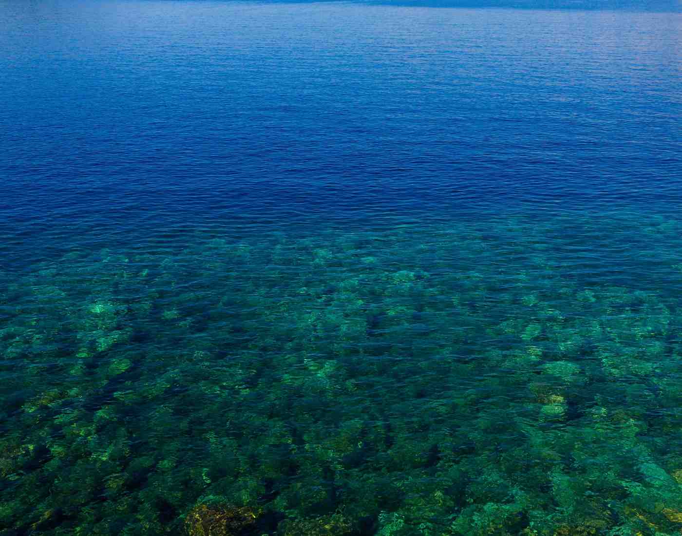 background2