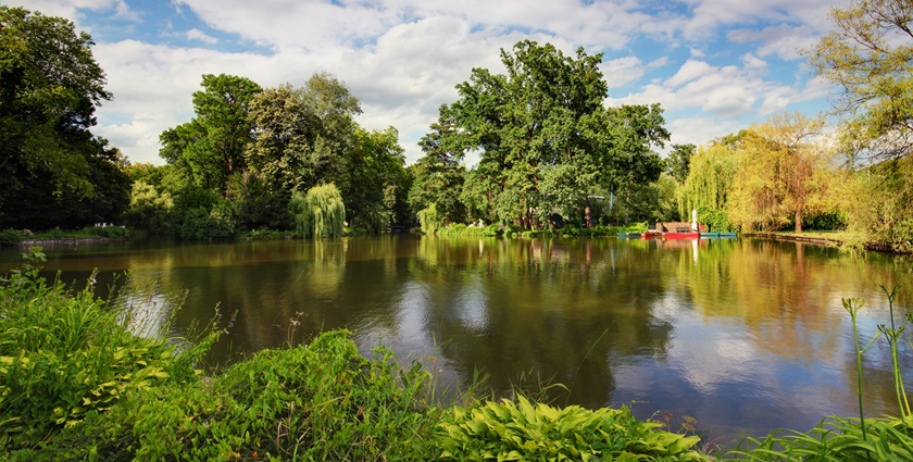 maksimir