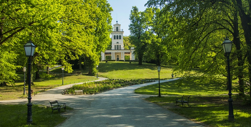 maksimir