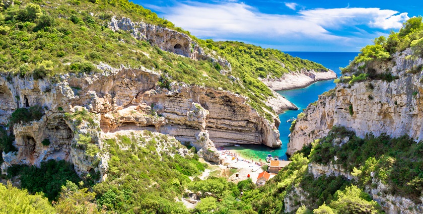 ponudadana, stiniva vis