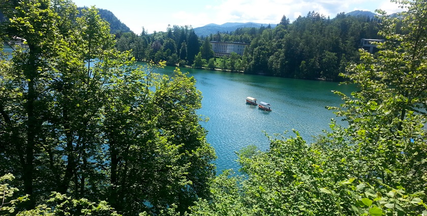 bled