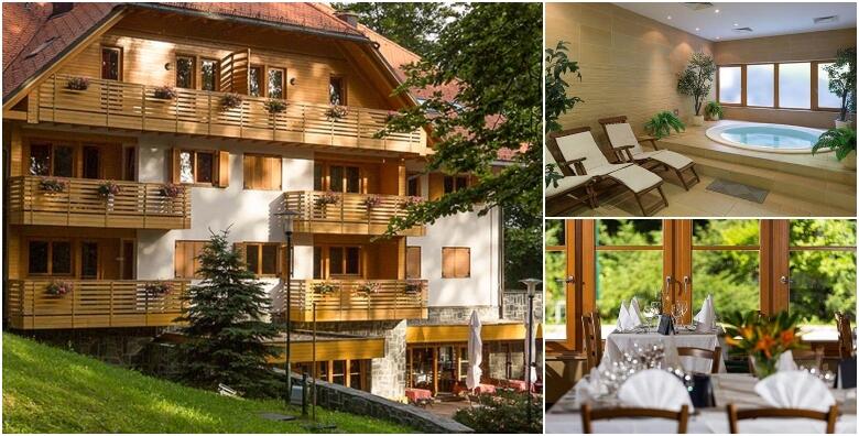 Sljeme, apartmani Snježna kraljica 4*
