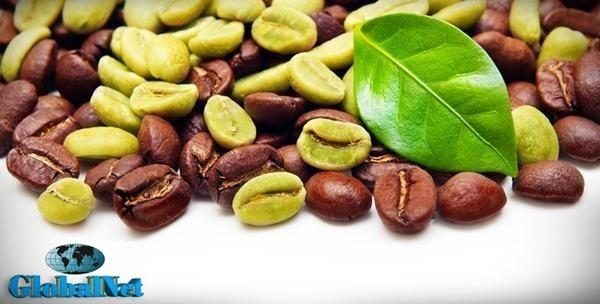 Zelena kava -64% Hr