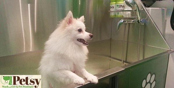 Pranje pasa u samouslužnoj praonici – 30 minuta uz uključen pribor za sve pasmine za samo 35kn!