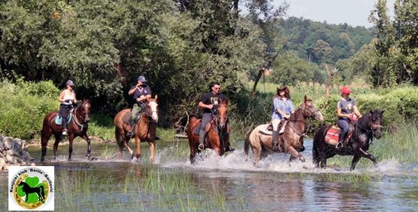 Terensko jahanje za iskusne jahače – 2 sata s plemenitim životinjama u prirodi za 149kn!
