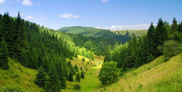 Lika - 2 ili 3 dana za do 5 osoba u Velebitskoj kući***
