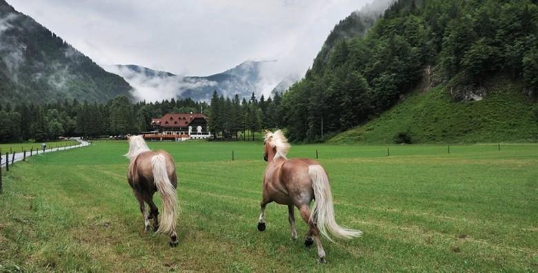 Logarska dolina i Mozirje - izlet