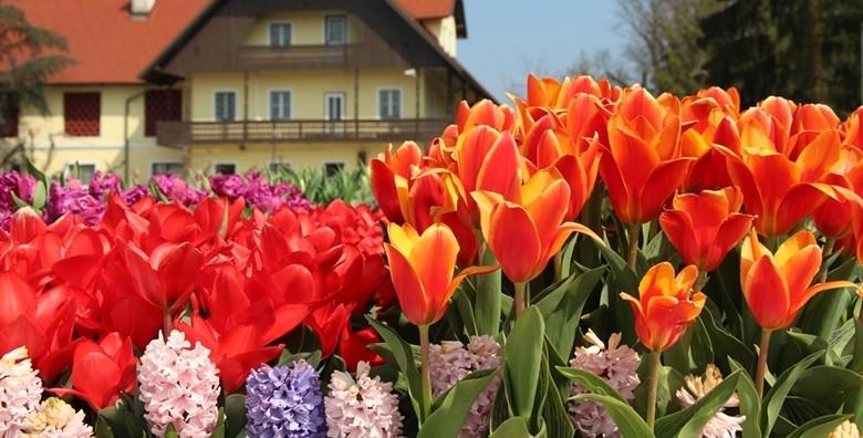 Volčji potok i Bled - cjelodnevni izlet s uključenim prijevozom za 149 kn!