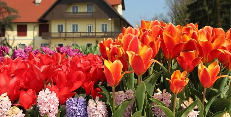 Ponuda dana: Volčji potok i Bled - uživajte na proljetnom sajmu i izložbi tulipana te na čarobnom slovenskom jezeru za 149 kn! (Putnička agencija Autoturist - Park ID kod: HR-AB-01-080015747)