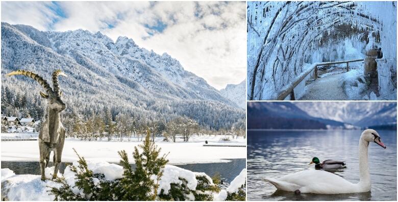 BLED I MOJSTRANA - posjetite biser Slovenije i doživite zimsku čaroliju Ledenog kraljevstva, šumske bajkovite staze u potpunosti okružene ledom za 169 kn!
