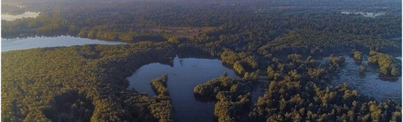 PP Kopački rit i Osijek - posjetite zadivljući park prirode koji je močvarni dom tisućama bioloških vrsta uz posjet slavonskoj metropoli za 239 kn!