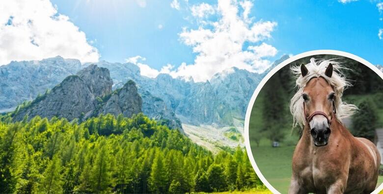 Logarska dolina, planinarski izlet