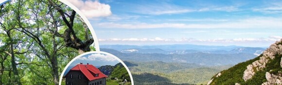 Planinarska avantura u NP Risnjak – uspon na jedan od najljepših vrhova Hrvatske uz 3h penjanja i uživanja u netaknutoj prirodi