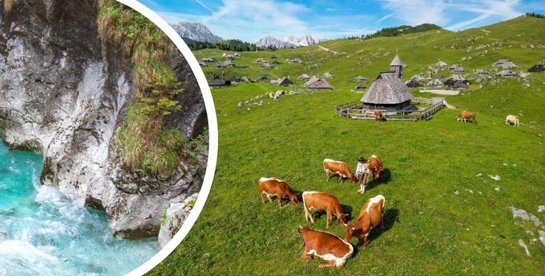 VELIKA PLANINA, SLOVENIJA - uživajte u planinarenju, zavirite u život pastira i saznajte o njihovim običajima koji su se održali do danas uz jednodnevni izlet s prijevozom