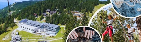 Istražite tajne života u prirodi uz TEČAJ BUSHCRAFTA i OBITELJSKU AVANTURU uz 2 noći s polupansionom za 2 osobe + GRATIS paket za 2 djece u Wellness Hotelu Montis 4*