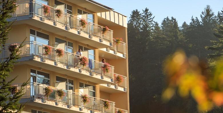 Terme Topolšica - 2 noći s polupansionom i kupanjem za dvoje u hotelu 3* za 1.220 kn!