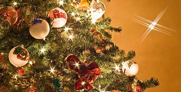 MEGA POPUST: 72% - Božićna smreka do 3 metra visine - uživajte u božićnoj čaroliji uz neodoljiv miris prirodnog drvca za 79 kn! (OPG Franjetić)
