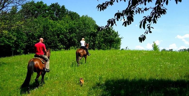 Terensko jahanje za iskusne jahače – 2 sata u prirodi za 149kn!