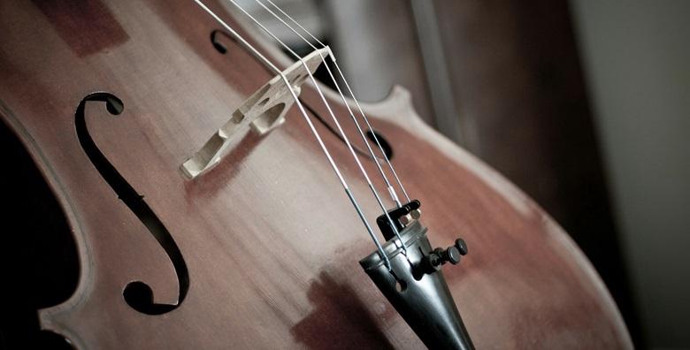 Tečaj sviranja električnog violončela za početnike ili napredne za 299 kn!