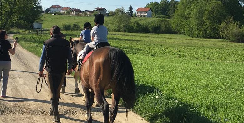 Škola jahanja - u trajanju 2 školska sata