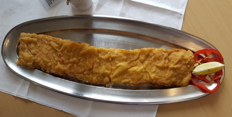 Zagrebački 50cm -50% Zabok