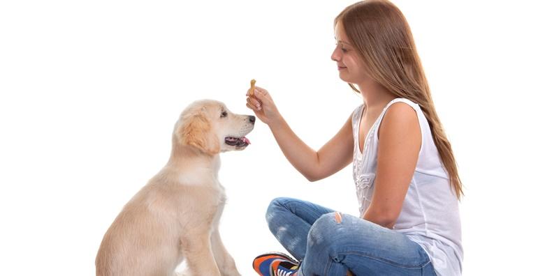 Treniranje i odgoj štenaca -83% HR