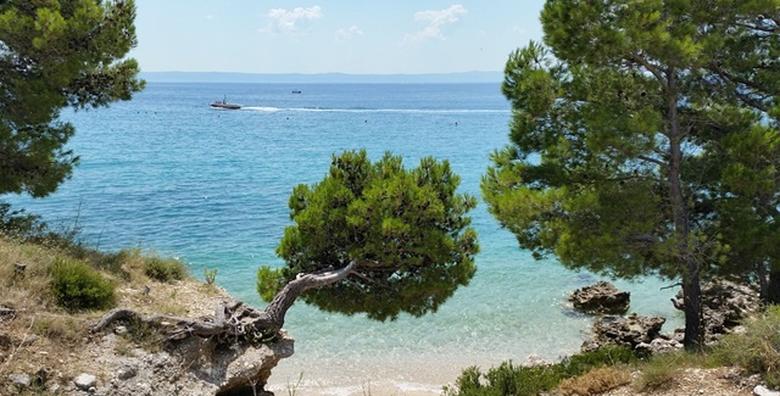 Biograd na Moru - 4 ili 6 noćenja za 2 ili 4 osobe već od 599 kn!