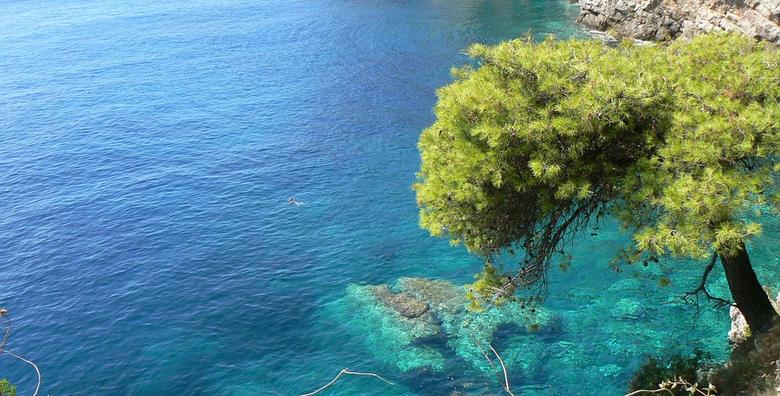 Biograd 3*, CIJELA SEZONA - 2, 5 ili 7 noćenja s polupansionom za dvoje od 876 kn!