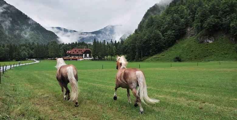 Logarska dolina - izlet s prijevozom i uključenom ulaznicom