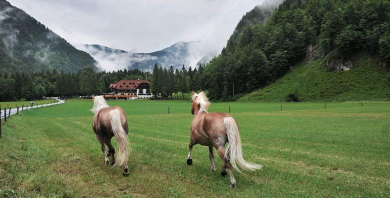 Logarska dolina - izlet s prijevozom