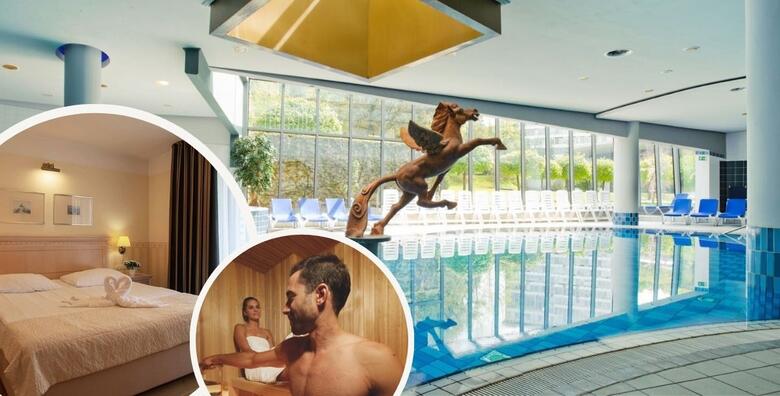 Rogaška Slatina, Hotel 4*