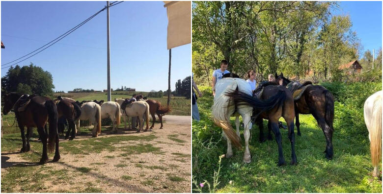 Topusko - 3 sata terenskog jahanja za 2, 3 ili 4 osobe od 333 kn!