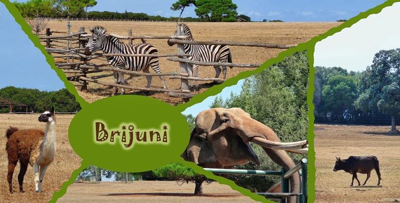 NP Brijuni i Pula - izlet s uključenim prijevozom za 235 kn!
