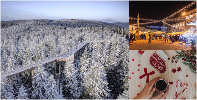 Advent u Mariboru i ”Put među krošnja