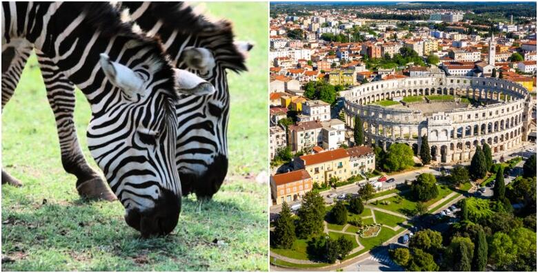 NP Brijuni i Pula - oduševite se netaknutom prirodom i razgledajte gradske znamenitosti i velebnu Arenu u Puli za 229 kn!