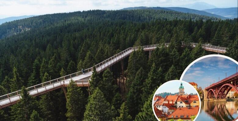 Ponuda dana: ŠETNJA MEĐU KROŠNJAMA - doživite prirodu Pohorja koja oduzima dah i upoznajte ljepote Maribora (Darojković travel)