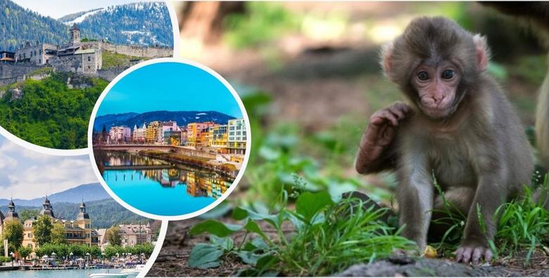 Uživanje u razgledu malog gradića Veldena, Wörthersee jezera, planine Landskron gdje se nalazi kolonija makaki majmuna te razgled Villacha i njegovih znamenitosti