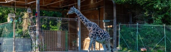 LJUBLJANA I ZOO - posjetite Ljubljanski ZOO sa preko 40 različitih životinja te razgledajte znamenitosti Ljubljane