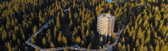 ŠETNJA MEĐU KROŠNJAMA - doživite prirodu Pohorja koja oduzima dah i upoznajte ljepote Maribora uz cjelodnevni izlet s prijevozom za jednu osobu