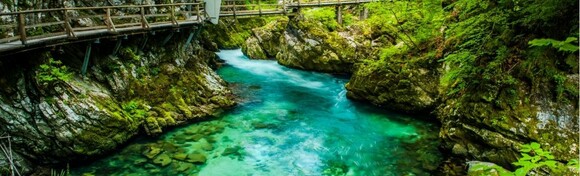 BLED I KANJON VINTGAR - posjetite jedno od najljepših alpskih jezera, kušajte bledske kremšnite i uživajte u prirodnim ljepotama kanjona Vintgar