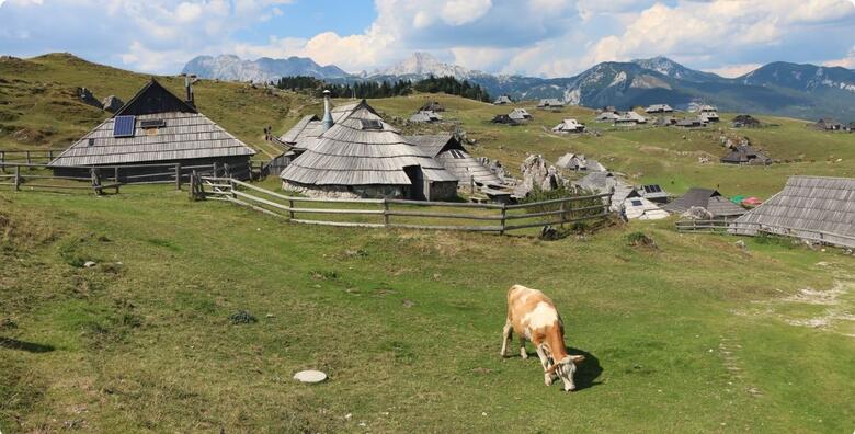 VELIKA PLANINA, SLOVENIJA - razgled pastirskog naselja i upoznavanje njihovih običaja