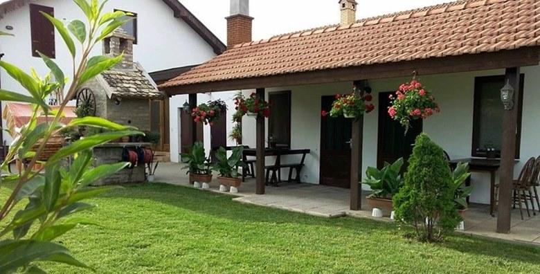 JESEN U BARANJI – posjetite Kneževe vinograde i Beljski vinski podrum uz 2 noćenja za 2 osobe u sobama 3*