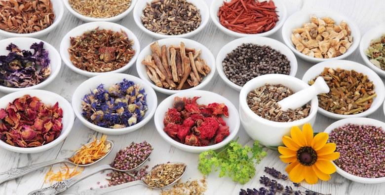 HERBALIST – online tečaj o korištenju ljekovitih biljaka! Uz drevne, prirodne tradicije liječenja poboljšajte kvalitetu svog života za samo 39 kn!