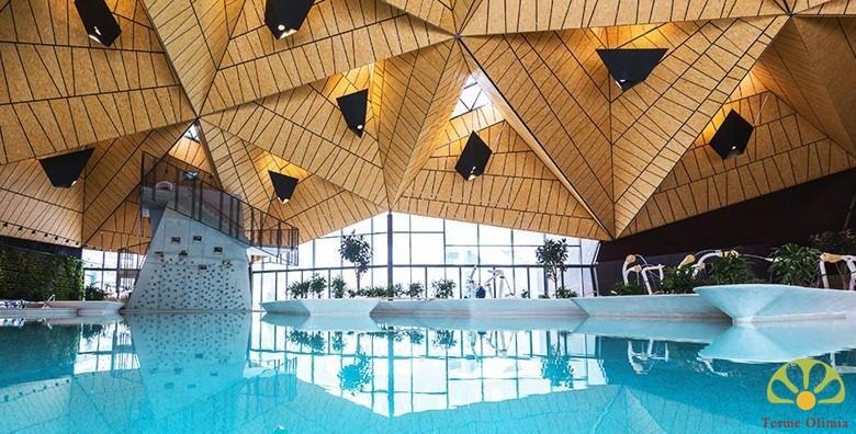 Terme Olimia**** - 2 do 7 noćenja s polupansionom za dvoje i kupanje u termama od 2.125 kn!