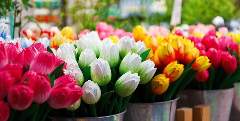 Ponuda dana: Italija - posjetite gradiće Conegliano i Pordenone i uživajte u najvećem sajmu cvijeća koji će u vama probuditi proljeće za 220 kn! (Smart TravelID kod: HR-AB-01-070116312)