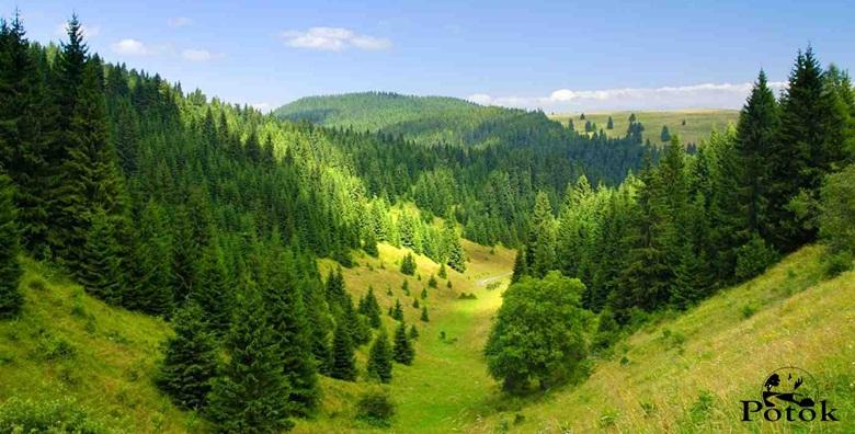 Gorski kotar*** - 2, 4 ili 6 noćenja s punim pansionom za dvoje od 675 kn!