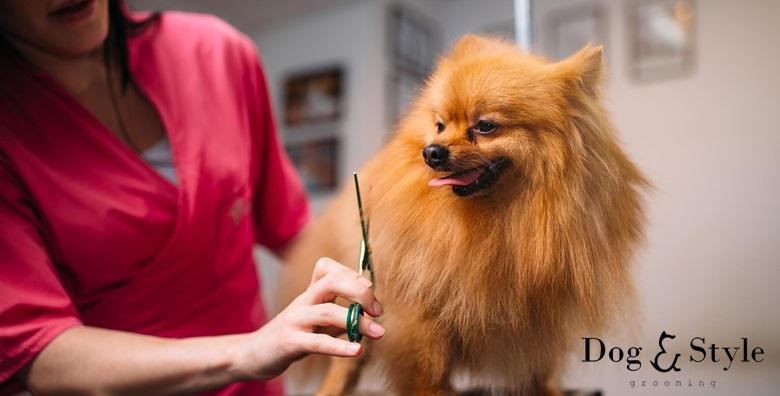 Grooming tečaj - postani groomer uz 100 punih sati predavanja i certifikat za 3.999 kn!