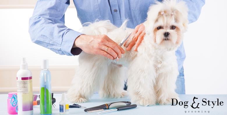 Grooming tečaj - postanite groomer uz punih 50 sati predavanja i certifikat za 2.499 kn!
