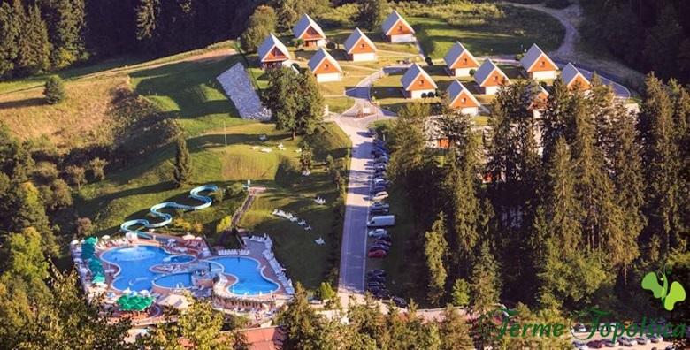 Terme Topolšica*** 4 noći -31%